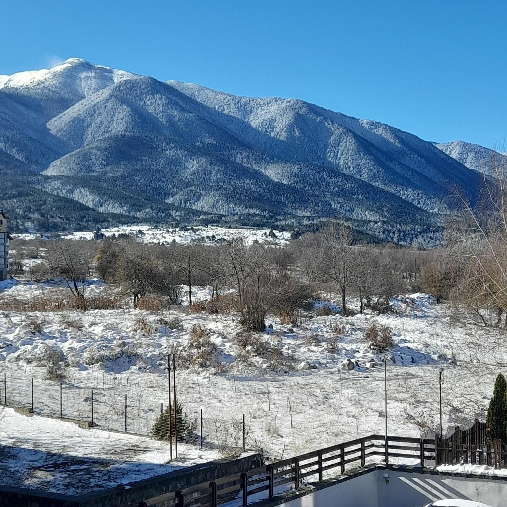 Lux Apartament L201 Bansko Bagian luar foto